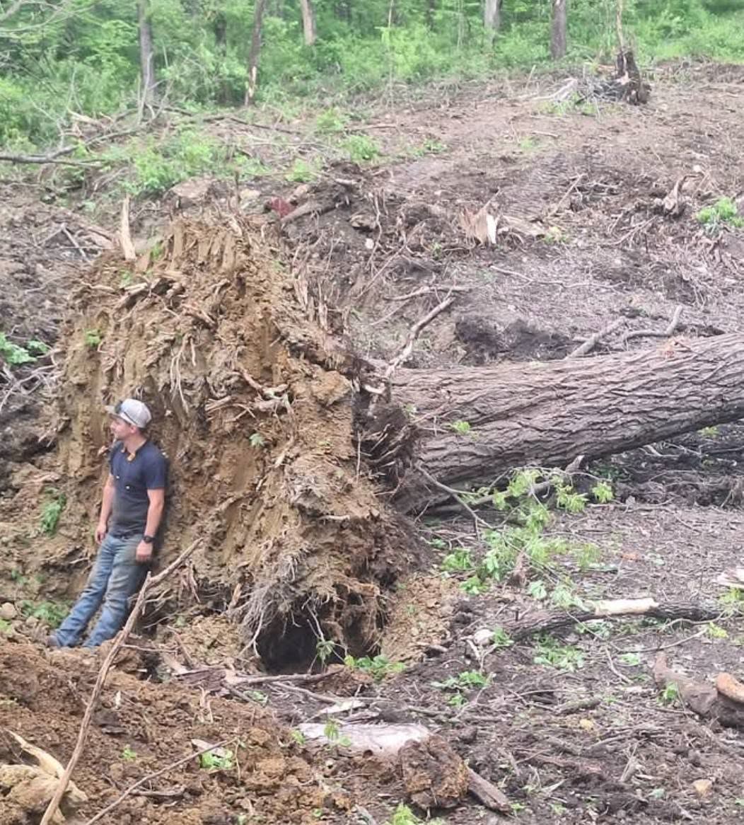Land clearing work by All Seasons near Auburn, KS